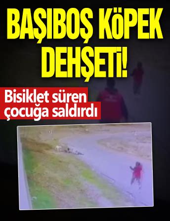 A­n­k­a­r­a­’­d­a­ ­B­i­s­i­k­l­e­t­ ­S­ü­r­e­n­ ­Ç­o­c­u­ğ­a­ ­B­a­ş­ı­b­o­ş­ ­K­ö­p­e­k­ ­S­a­l­d­ı­r­d­ı­
